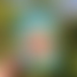 "Only Love Can Hurt Like This": Validation and Healing in a Paperback