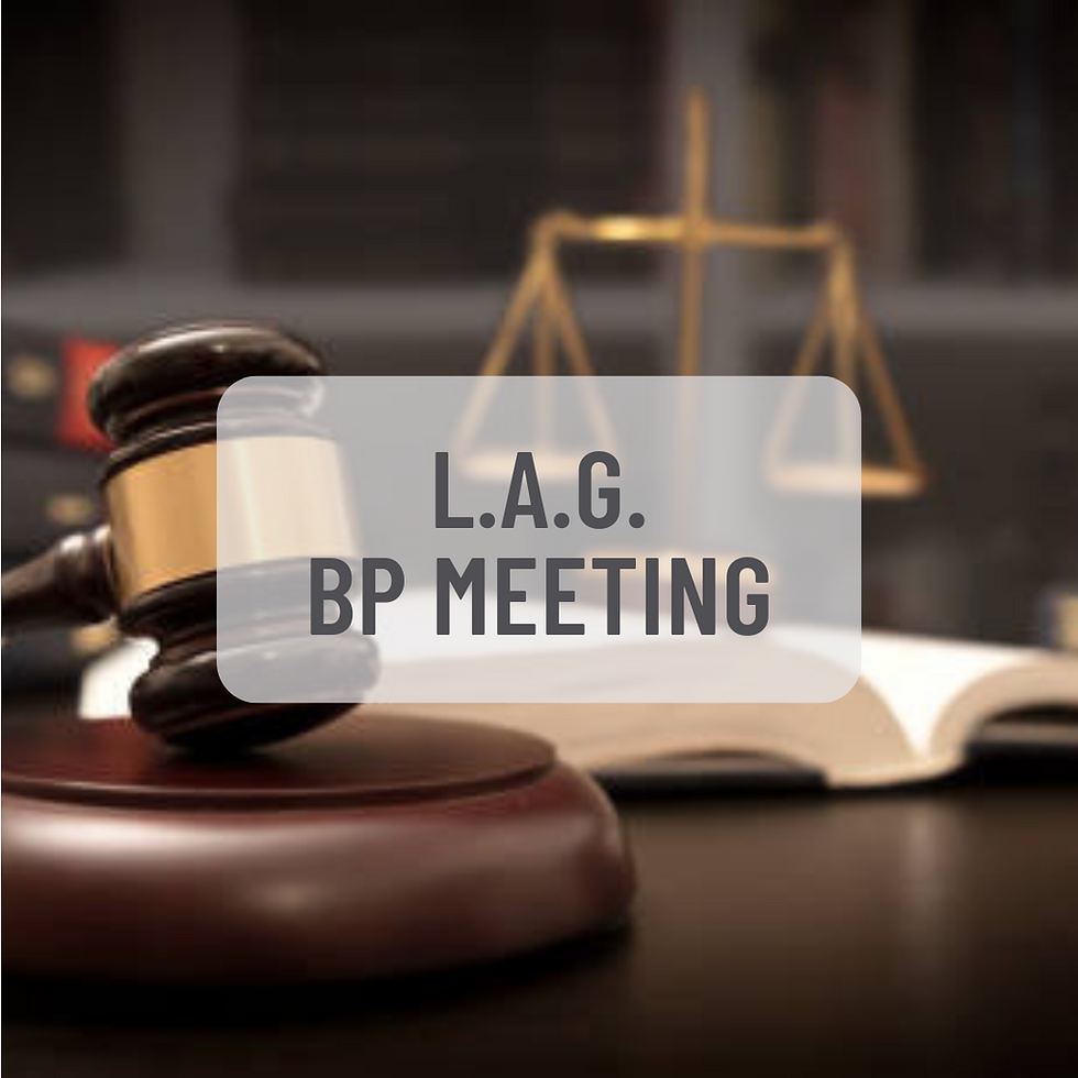 Lawyers Affinity Group July 2025 Meeting
