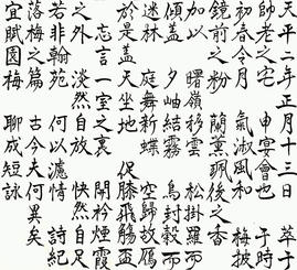 4FED12F0-73AB-426C-BEF3-924F8BE6FAD6.jpeg