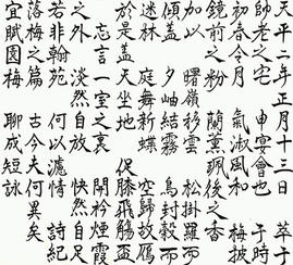4FED12F0-73AB-426C-BEF3-924F8BE6FAD6.jpeg