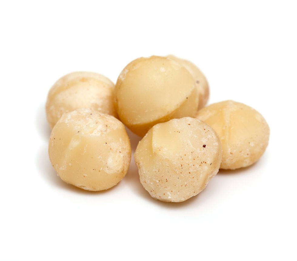 Macadamia Nuts| Raw Whole Style 1 | Bulk Packs