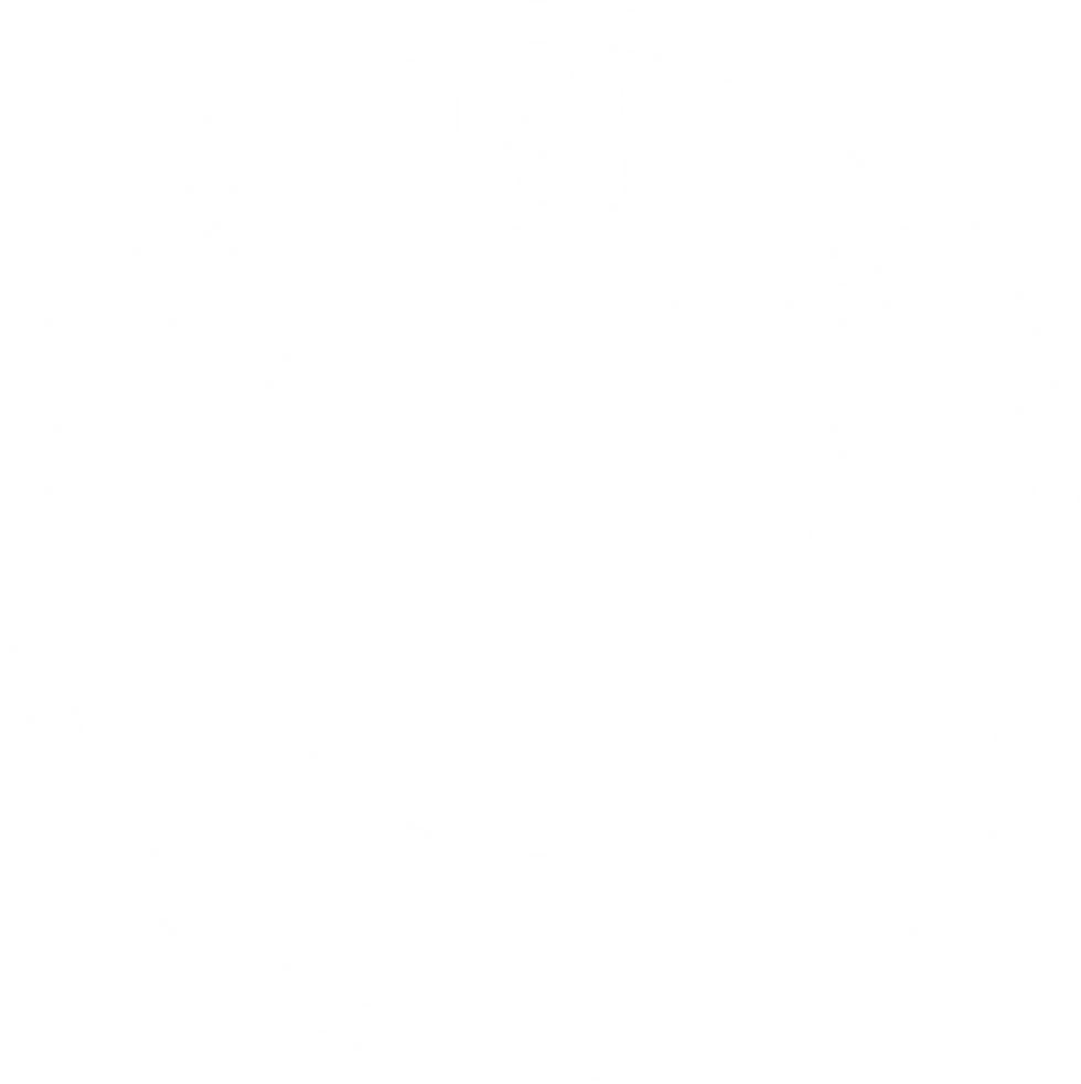 bmw logo.png
