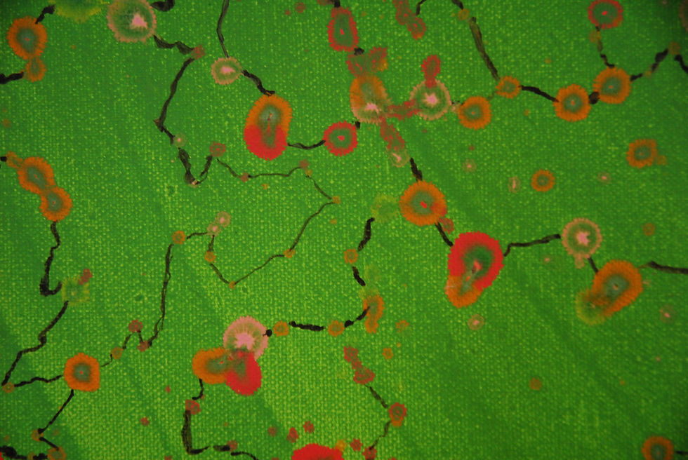 Thumbnail: BACTERIUM