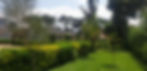 20230625_124259.jpg