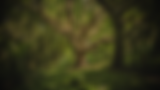 22.png