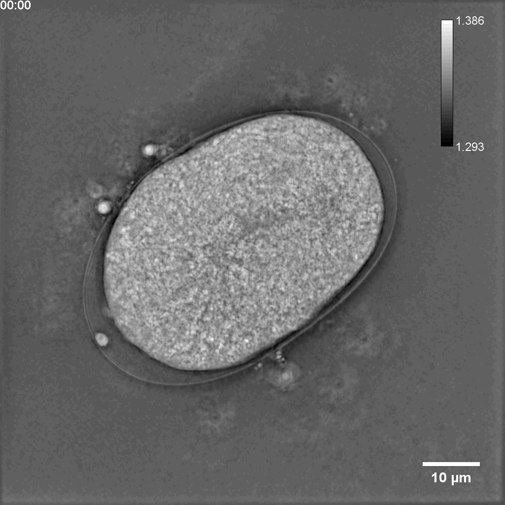 image10.gif