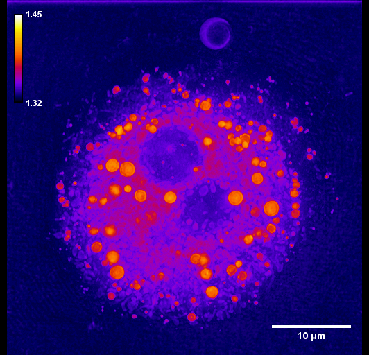 image6.gif