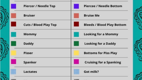 Trans Sex: Banging Beyond the Binaries