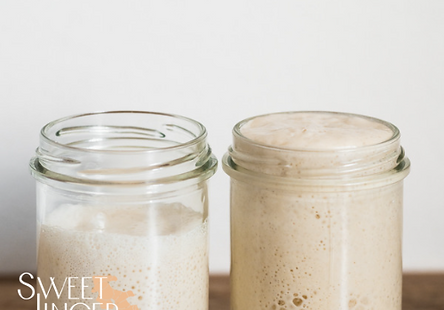 Sourdough Starter