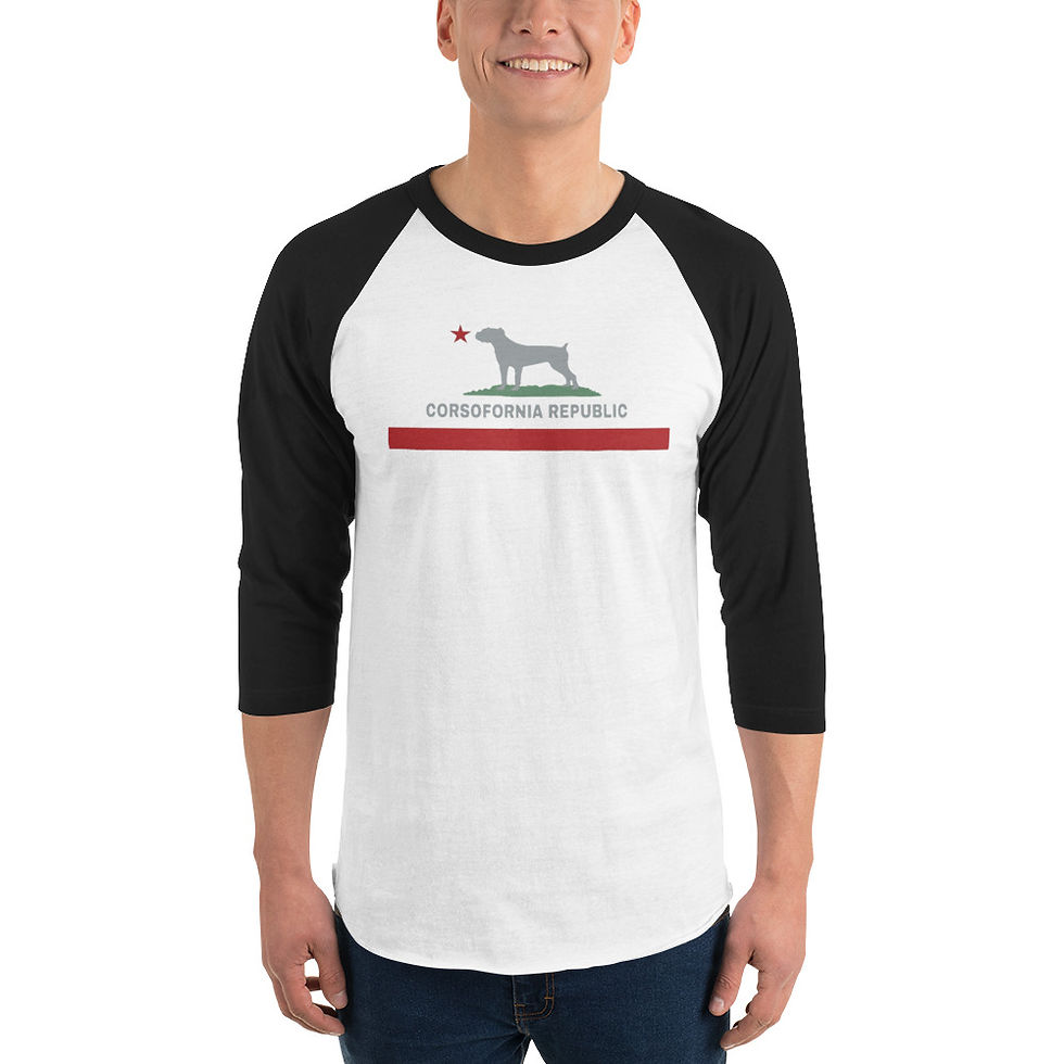 Thumbnail: Corsofornia Republic GREY 3/4 sleeve raglan shirt