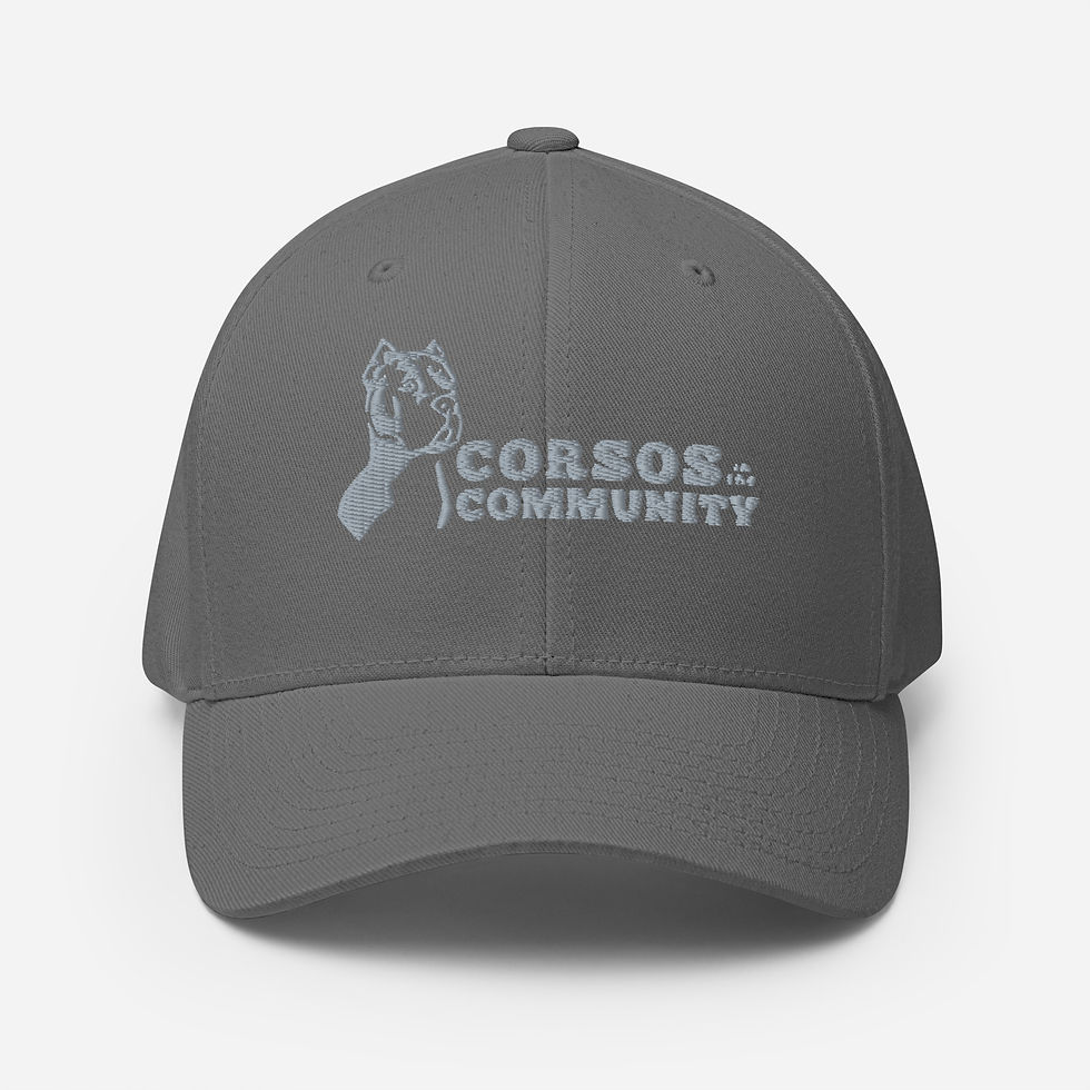 Thumbnail: Crop Ears Embroidered CITC Logo Structured Twill Cap