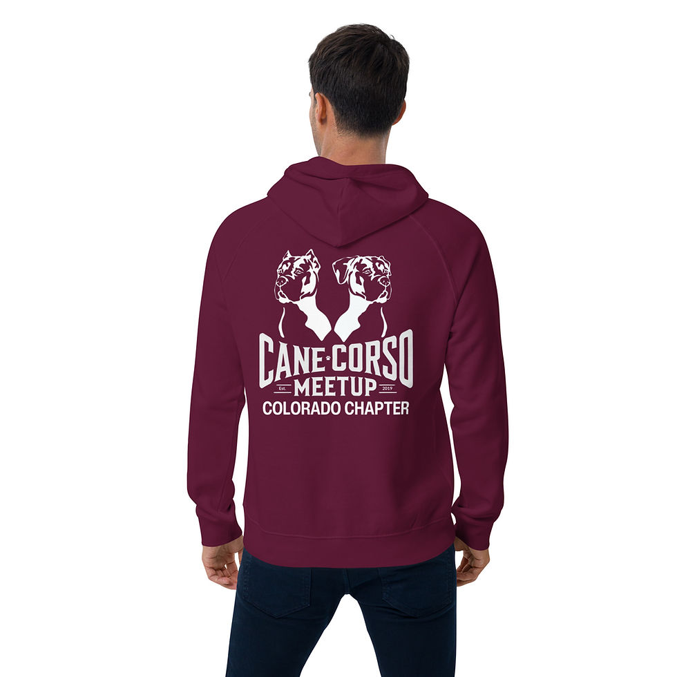 Thumbnail: Colorado- Unisex eco raglan hoodie