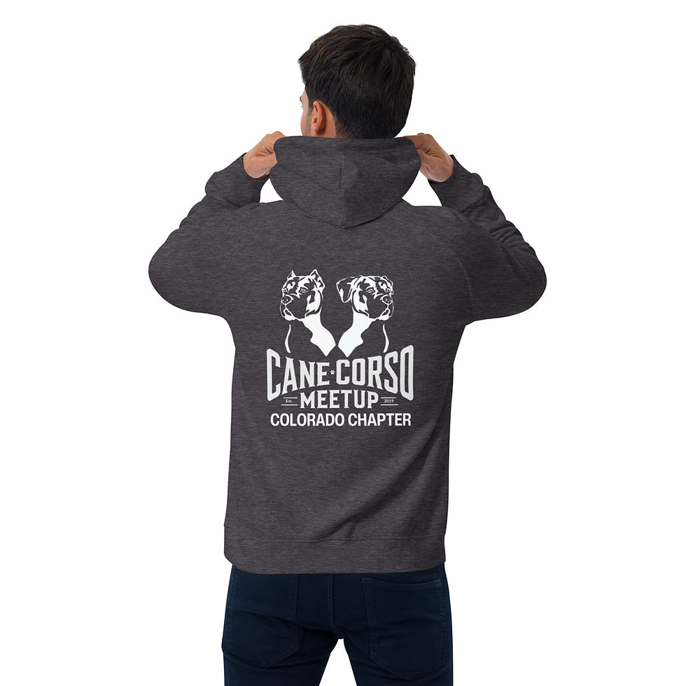 Thumbnail: Colorado- Unisex eco raglan hoodie