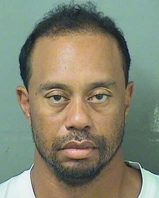 #TigerWoods arrested