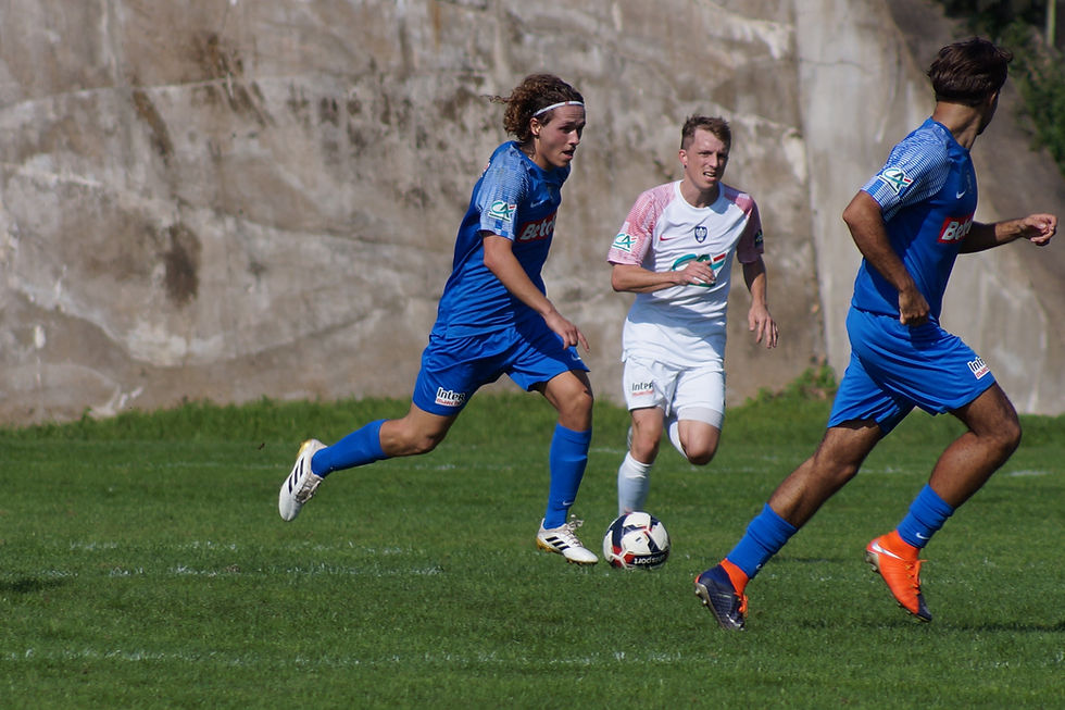 CDF : arin luzien