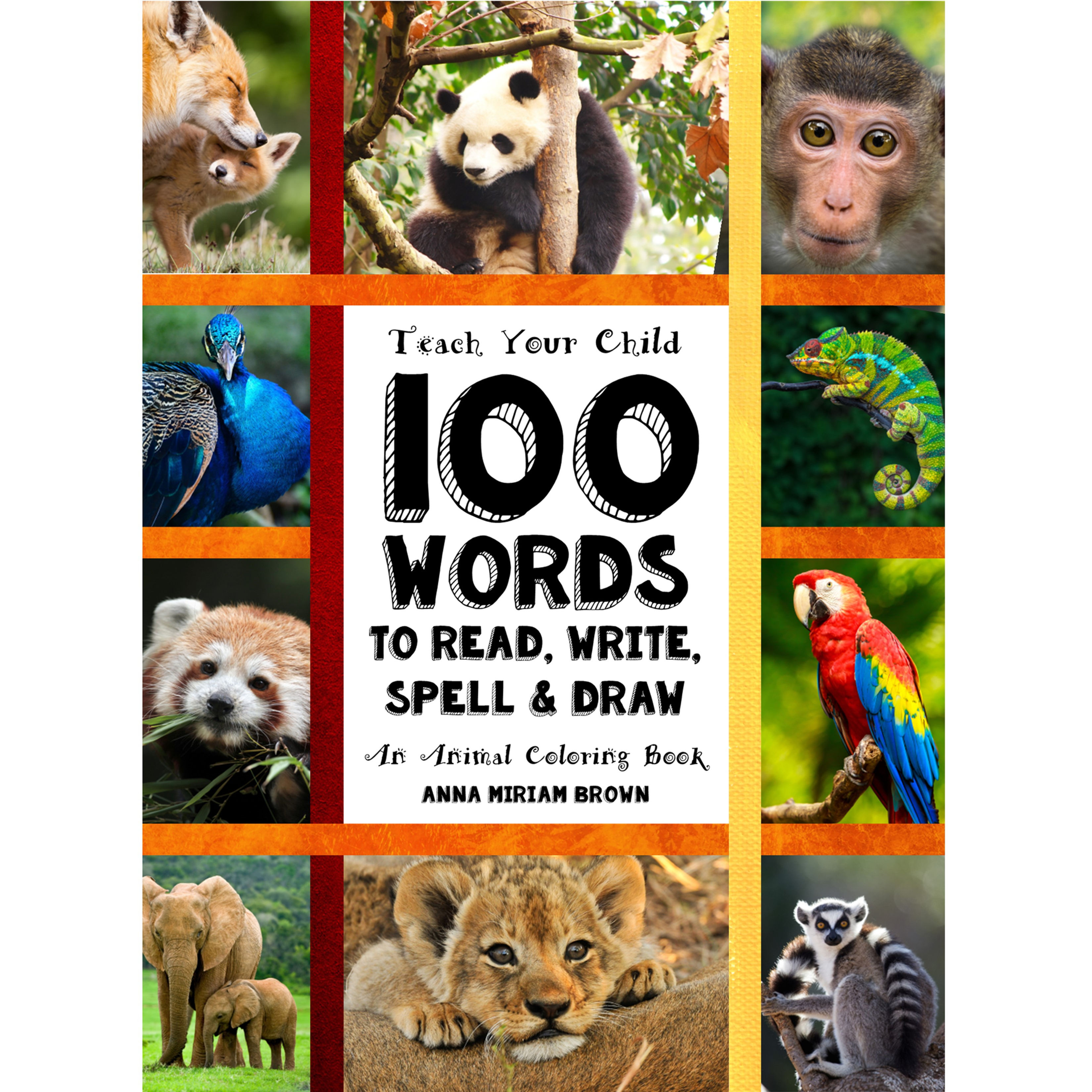 Teach Your Child - 100 Words To Read, Write, Spell and Draw (5+)