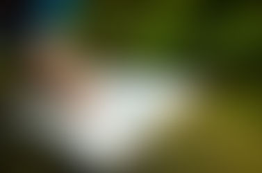 "É com grande alegria que informamos a semana de abertura do INTERVALO BÍBLICO"