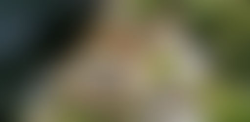 Risco para moradores de Jardim Brasil