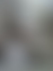 "Flagrante" Alguns moradores de Jardim Brasil I, estão arremessando lixo para dentro de um