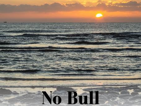 No Bull