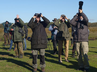 FÅGLAR ÅRET RUNT 2021 – FÅGELSKÅDNING MED MERITERADE GUIDER