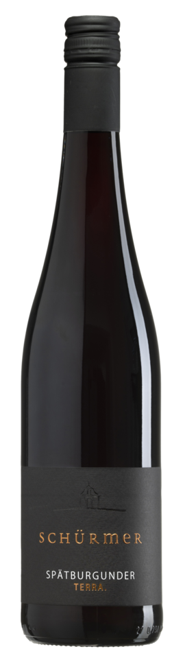 2024 SPÄTBURGUNDER TERRA., trocken, Weingut Schürmer