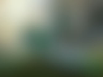 Star Atlas : la Voie de la Terre