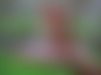 Weather Safety: Secure and Informed Roofing Solutions for Homeowners