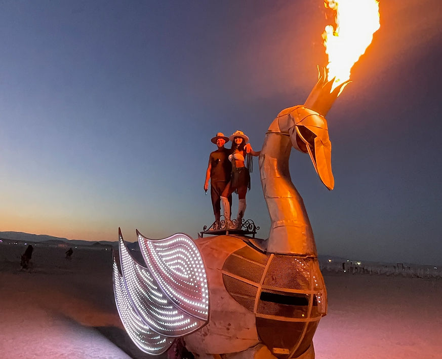 Prodigal Swan on the playa