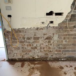 Rising damp example