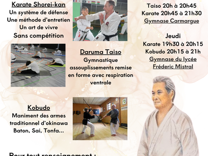 karate shoreikan et kobudo - découvrez le karate d'origine sans compétition ,un systéme de défense , une méthode d'entretien ,d'assouplissement , de musculation ,