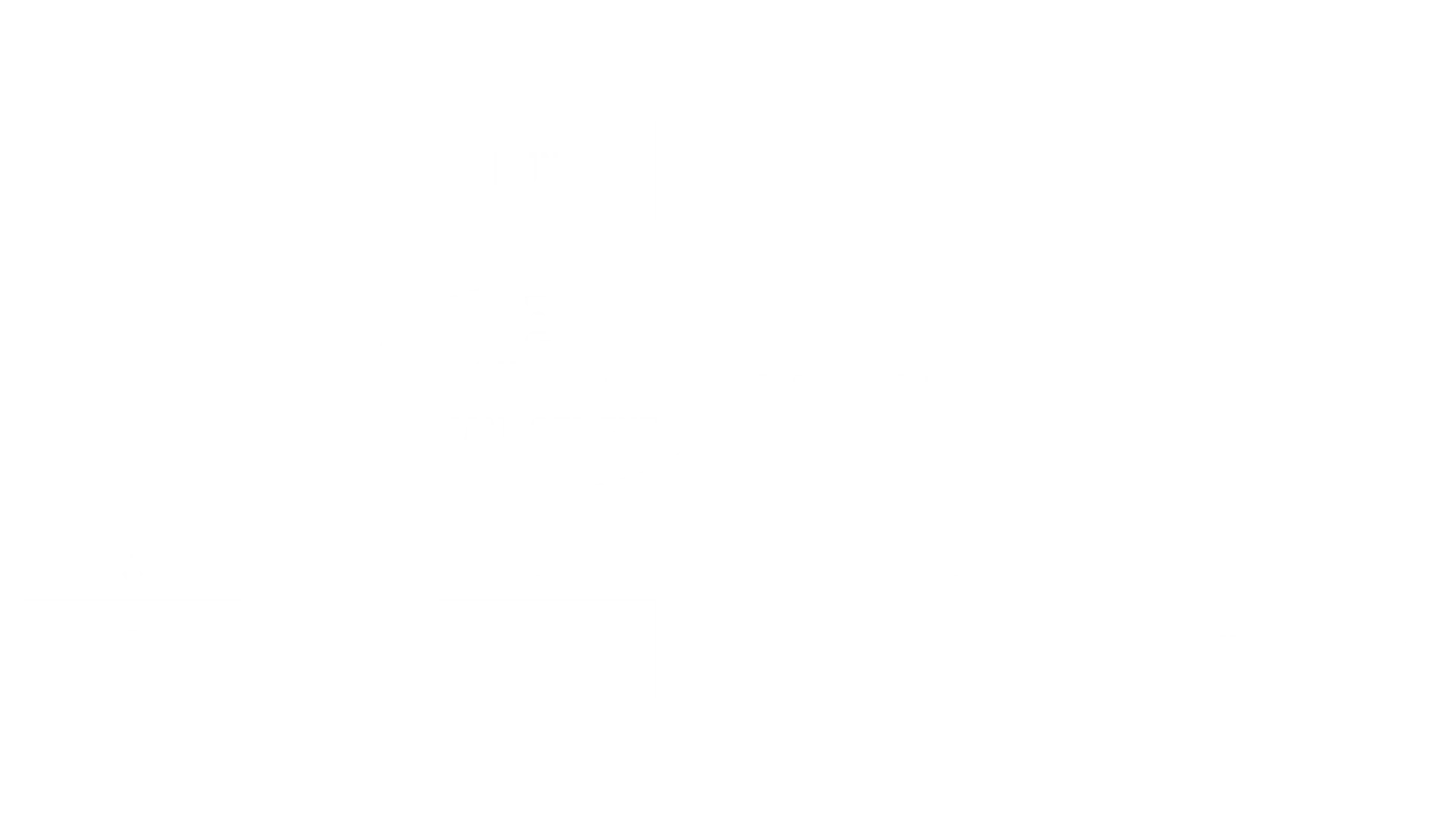 DINO-GmbH-ON-SITE-MANAGEMENT-Graph