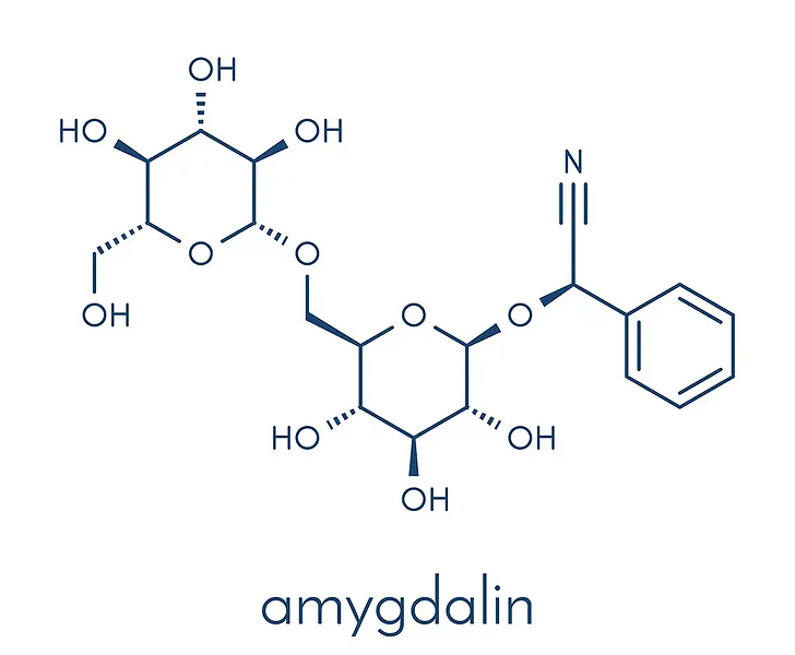 Perfusions-de-vitamine-B17-perfusions-traitements-contre-le-cancer-Centre-d-Hyperthermie-de-Hanovre