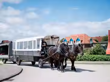 Juist_Kutsche_Pferde