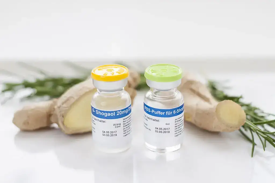 6-Shogaol-Infusions-Hyperthermia_Centre_Hannover.webp