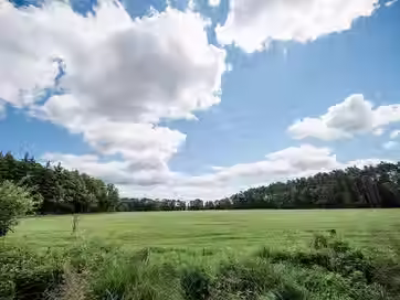 Felder_Wisen_Wald_Wohlthausen