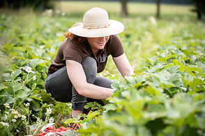 Natur-verliebt-Erdbeeren-pfluecken-Julia-Unger-Heitmann-10.jpeg