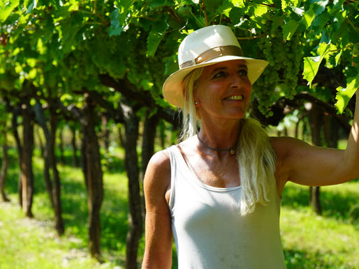 Bardolino for light reds and some of Italy's best rosĂŠ wines