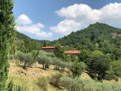 Our Tuscan Villa Campo Sasso