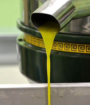 olive oil DSC_0162_edited.jpg