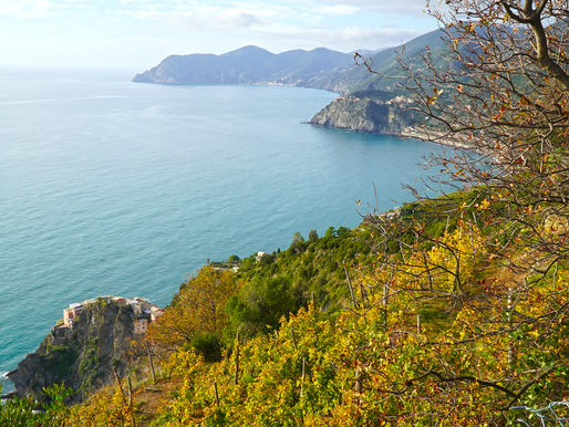 Le Cinque Terre's heroic winemakers