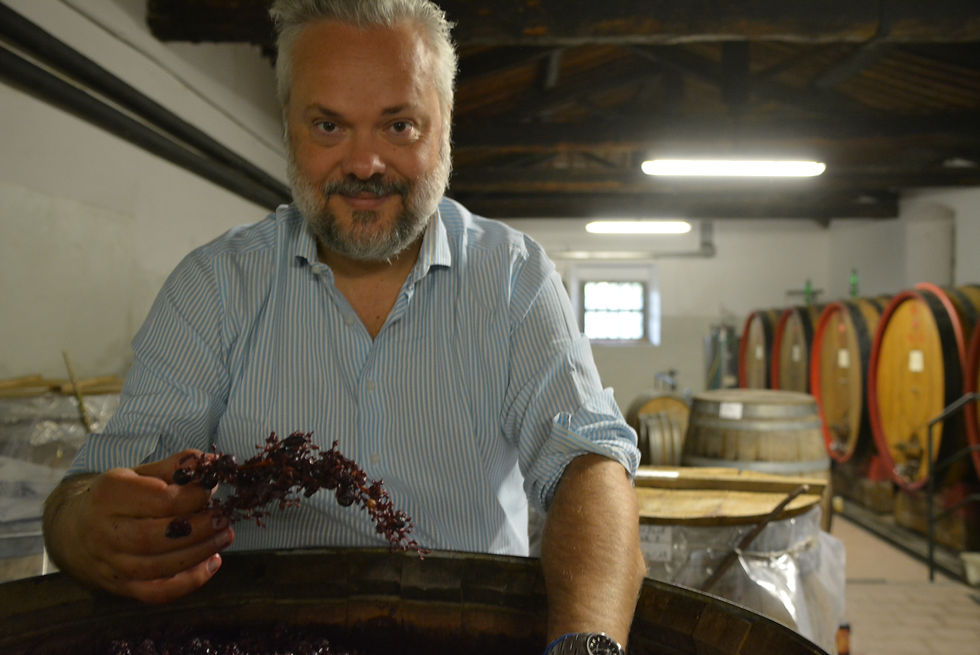 Sebastiano Capponi is one of the saviours of ancient grape varieties - he makes monovarietal wines from Mammolo, Occhiorosso and Sanforte!