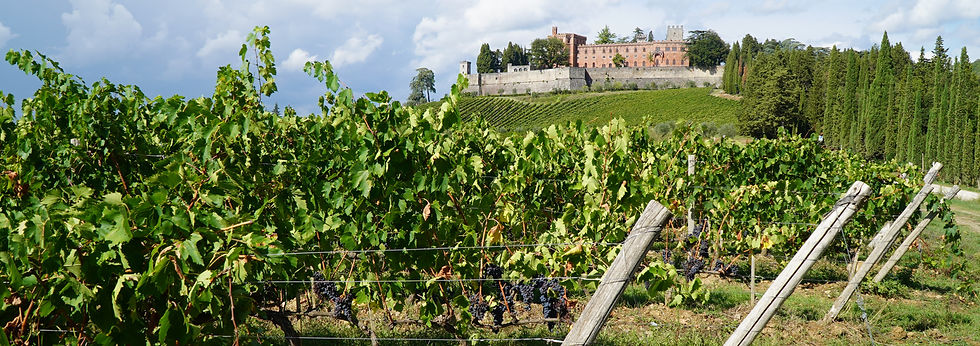 Castello di Brolio in southern Chianti Classico