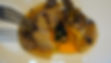 REB07184.JPG