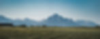 202.DE - 2023 06 - Allgäu Vroni-1.jpg