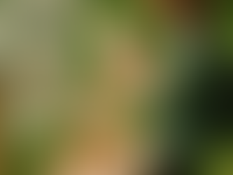 🌿 Alla scoperta della biodiversità : una passeggiata tra fiori, indizi e natura viva