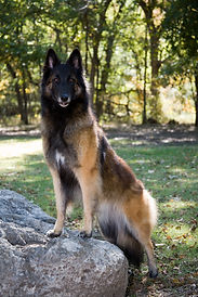 20061024_0006C.jpg