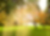 Homepage_edited_edited.jpg