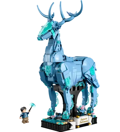76414_main