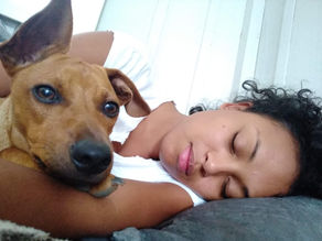 Cachorro faz bem pra quem tem depressão?